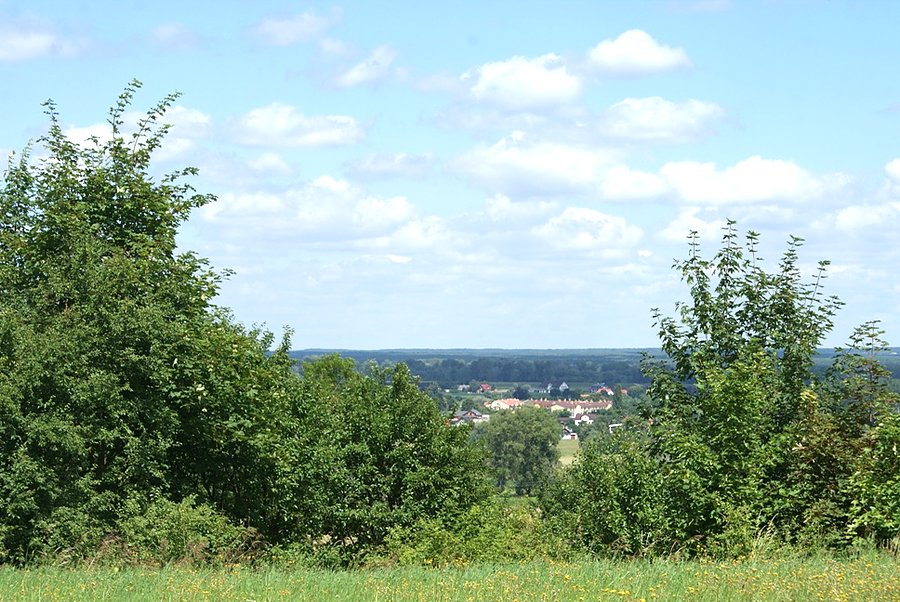 Widok ze wzgórza w Raciążku