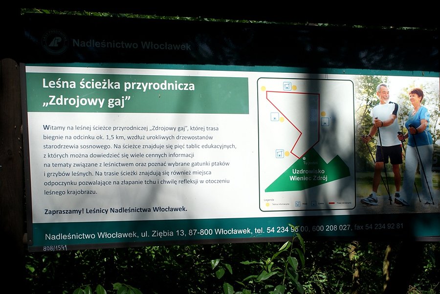 Zdrowy Gaj