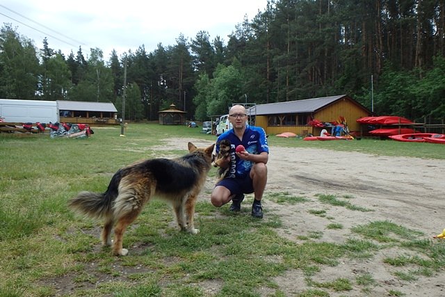 Towarzystwo przemiłych piesków