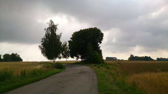 Droga na Strzyżewice