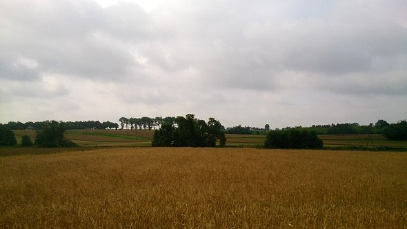 Pola koło Czółny