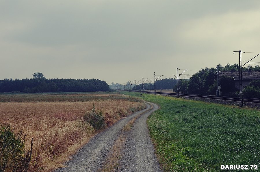 Krzemienica - Droga rowerowa Green Velo