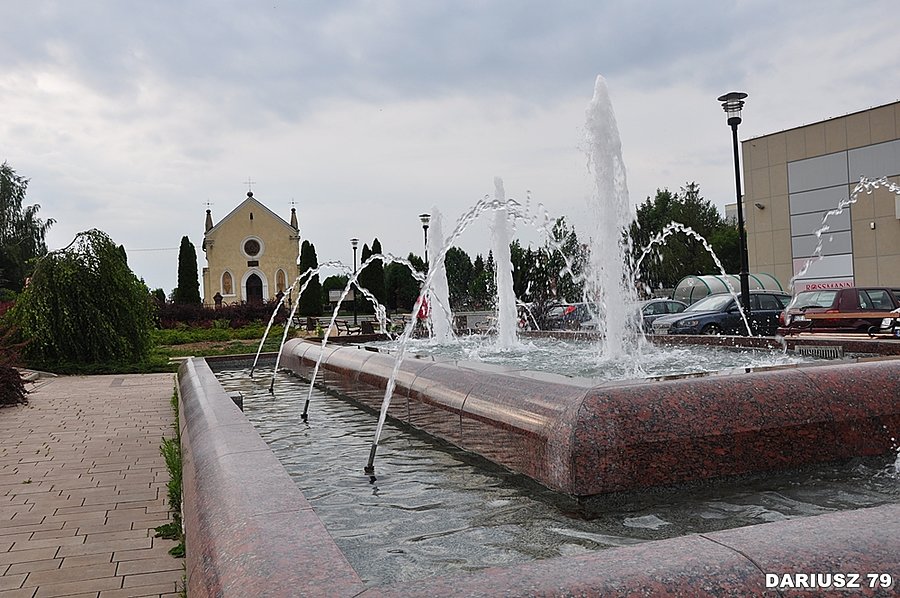 Boguchwała - Fotanna