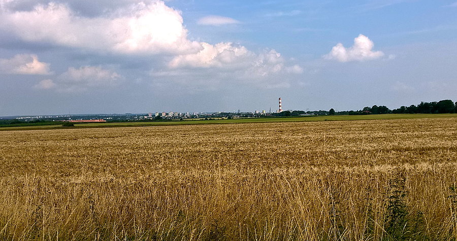 Tak ładnie prezentuje się Szczecin z drogi Kurów - Przecław