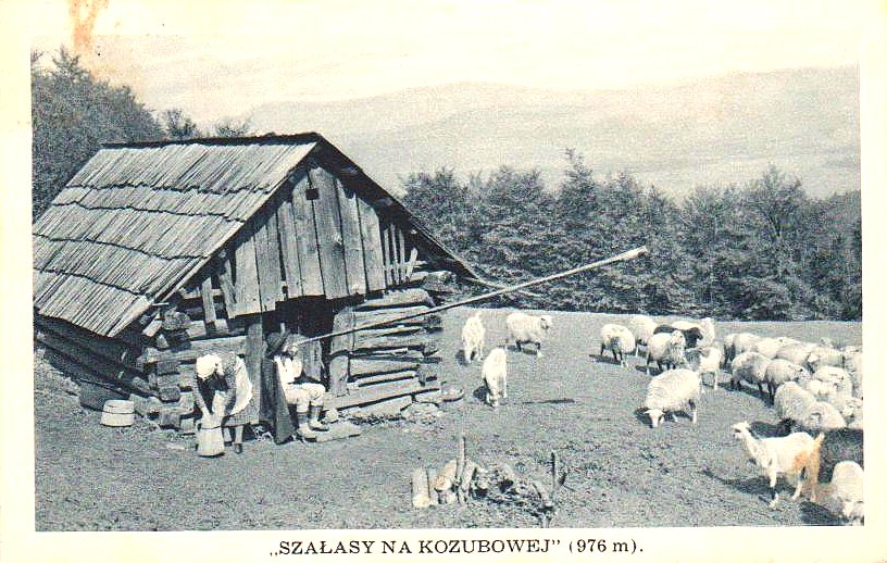 Szałas Liscy