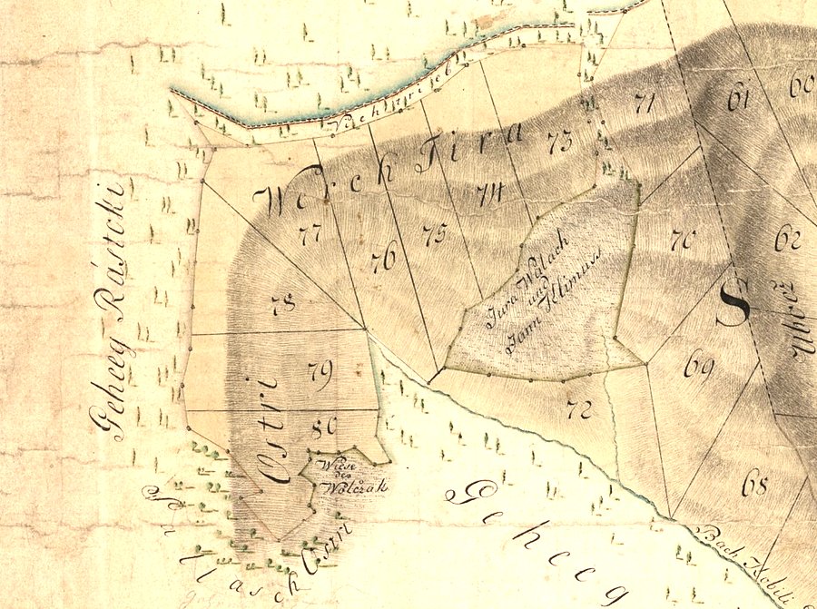Kałużny - Tyra
