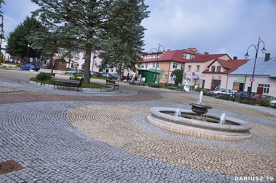 Wielopole Skrzyńskie - Rynek