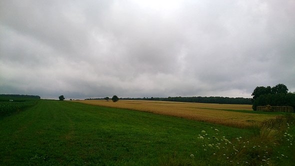 Ciemne chmury nad polami