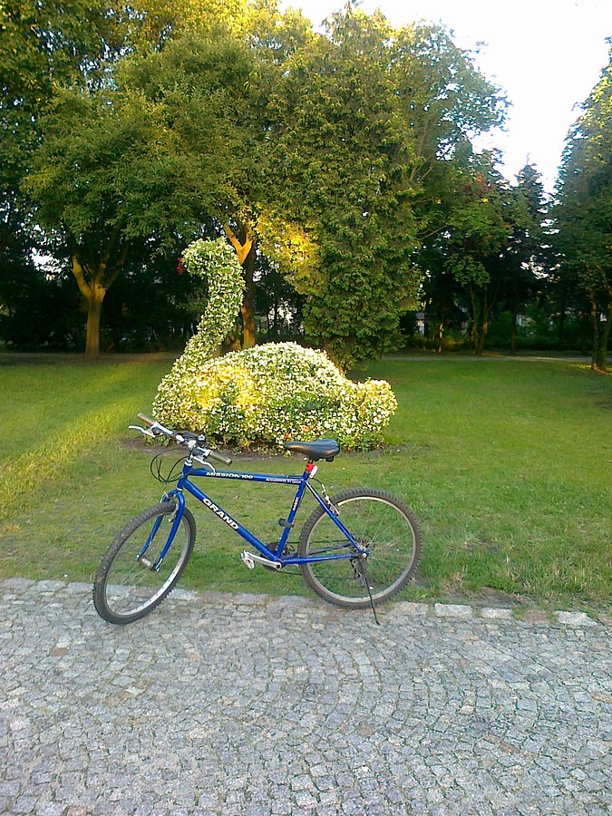Łabądek z kwiatów