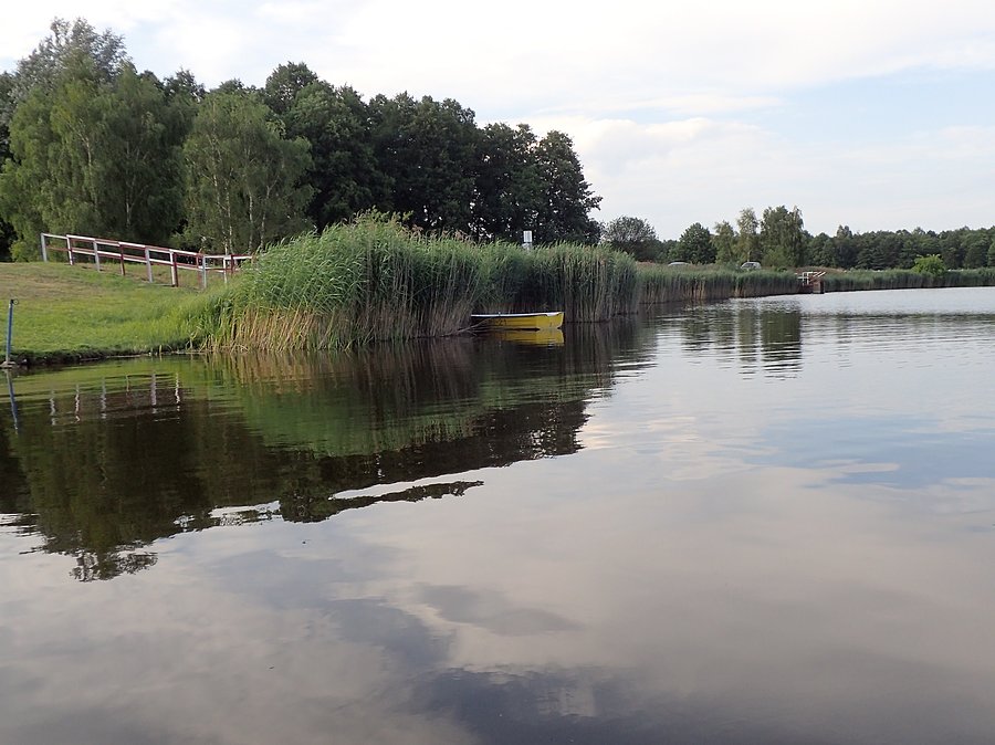 Na stawie Klekot