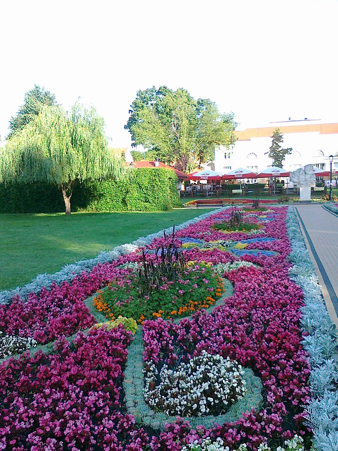Ciechocińskie dywany