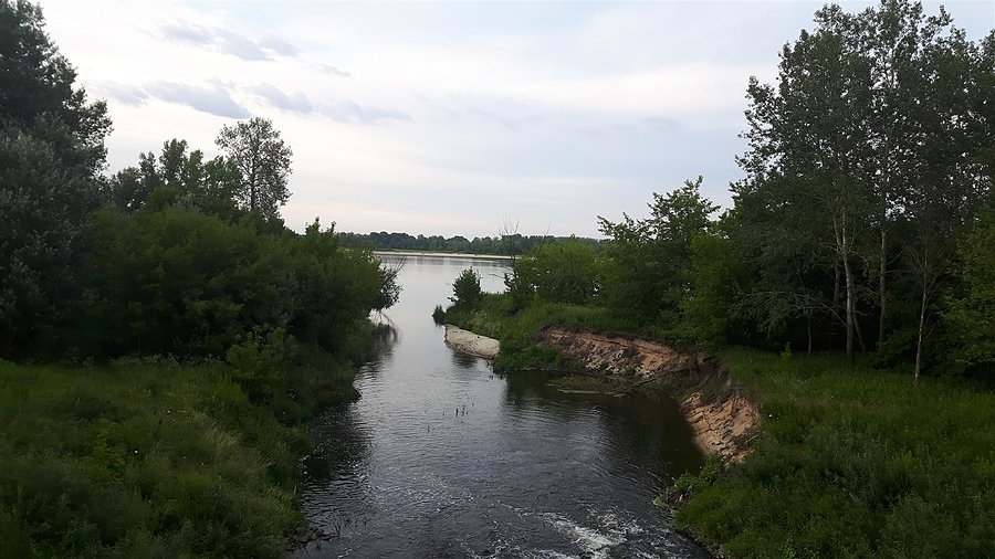 Ujście Jeziorki do Wisły z mostu w Obórkach