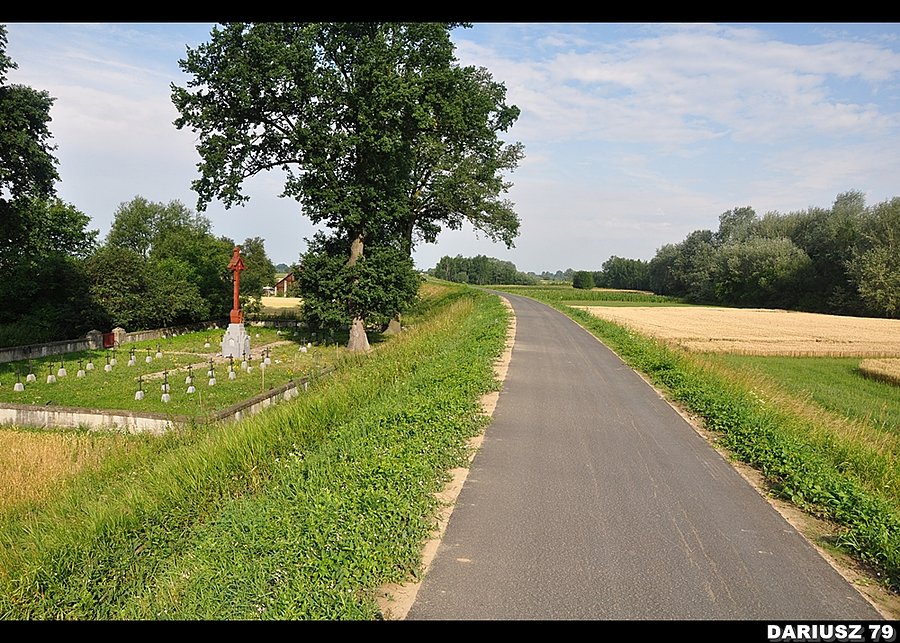 WWI Military Cemetery no: 256 - Pasieka Otfinowska Przy trasie Velo Dunajec