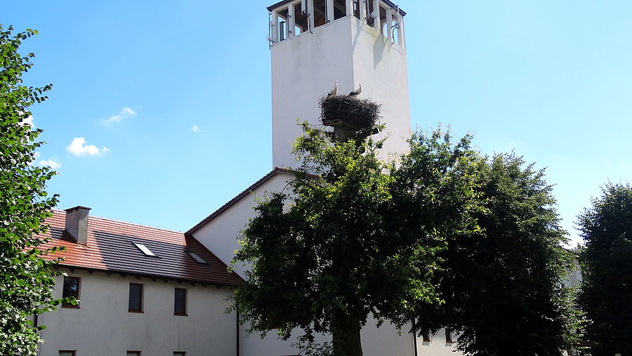 Dołuje i bocianie gniazdo na tle kościelnej wieży