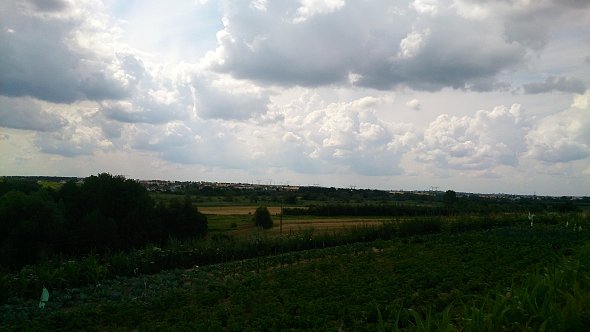 Pola koło Lublina