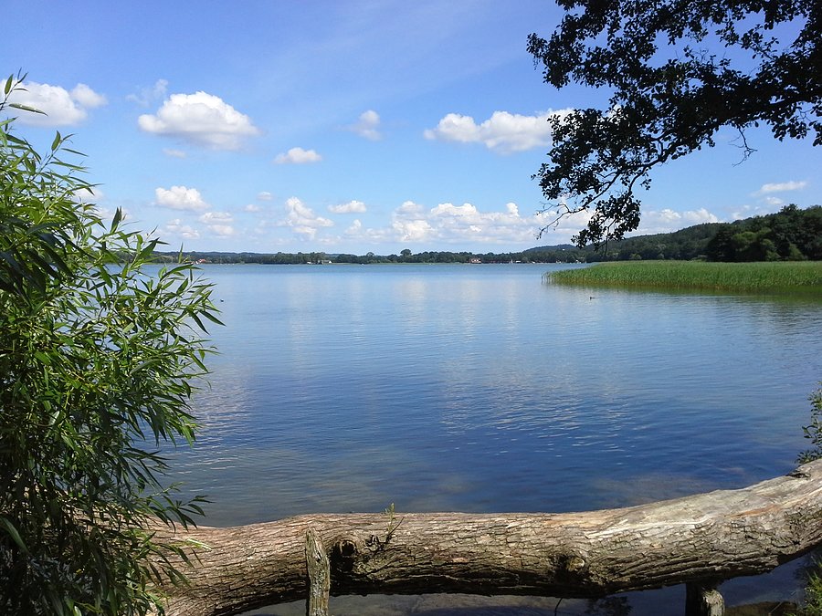 Widok na Jezioro Kłodno