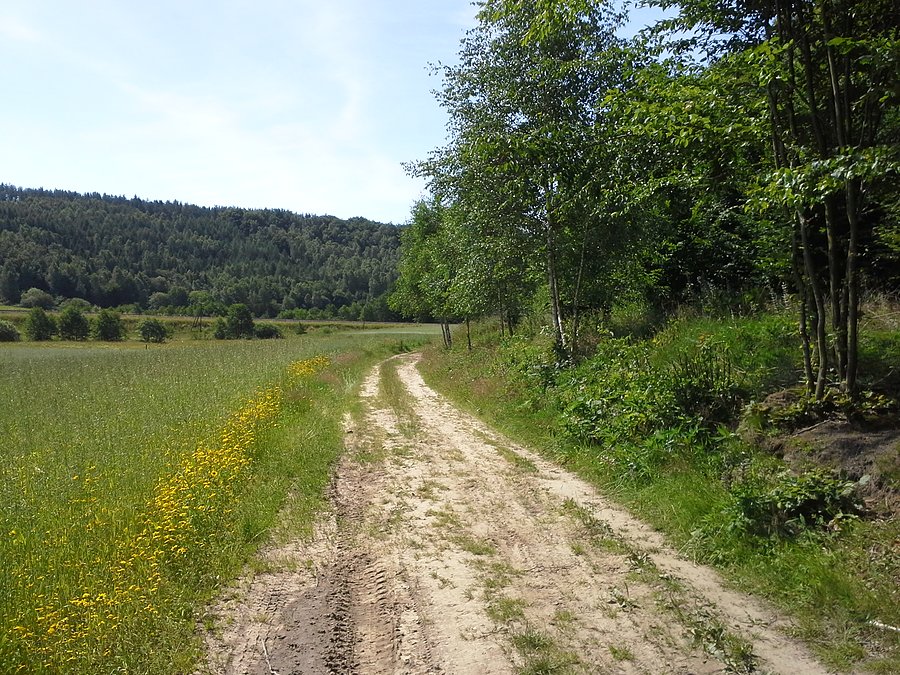 Polne drogi na Kaszubach Środkowych