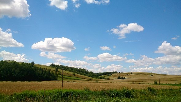 Roztoczańskie pagórki