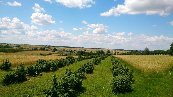 Roztoczańskie klimaty