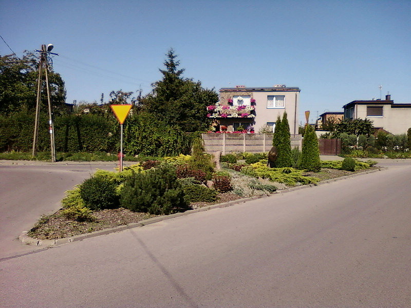 Skrzyżowanie Bazylijska / Reja