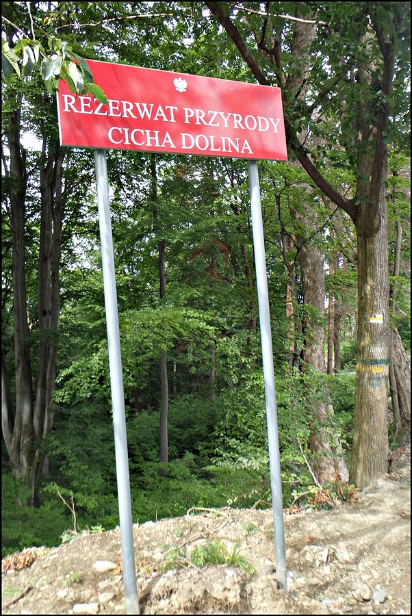 Rezerwat Cicha Dolina