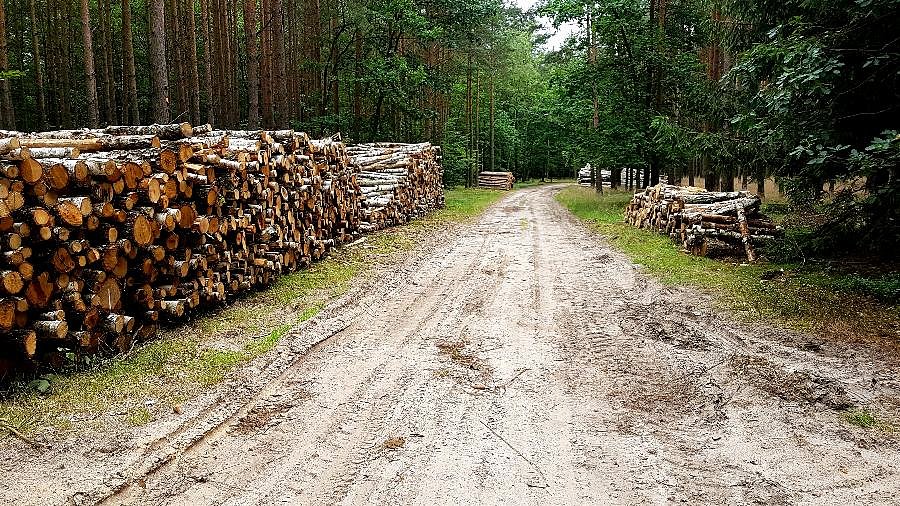 Droga Sowno - Grzędzice