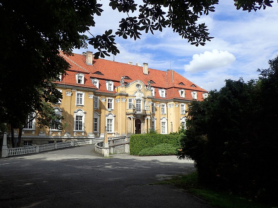 Pałac w Kochcicach