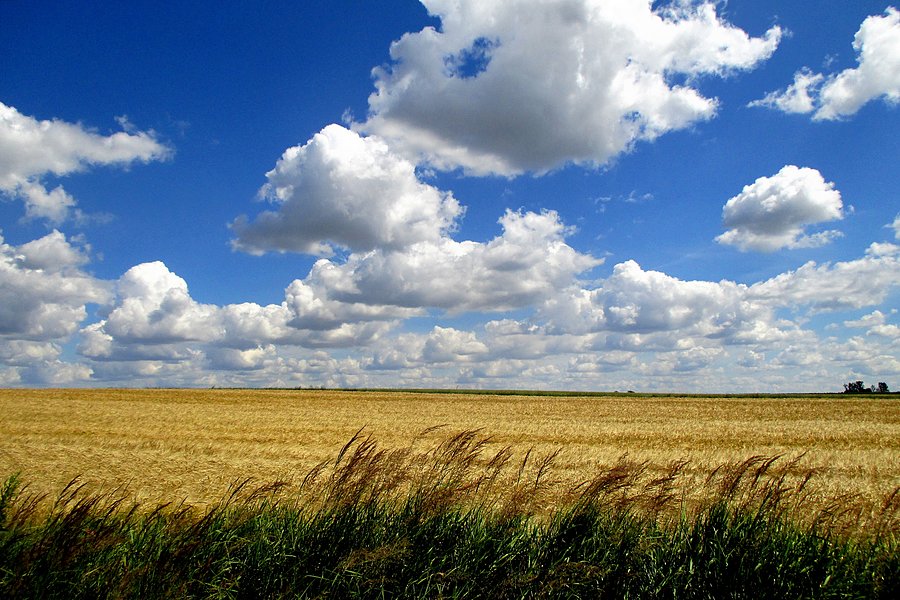 Lubelski krajobraz