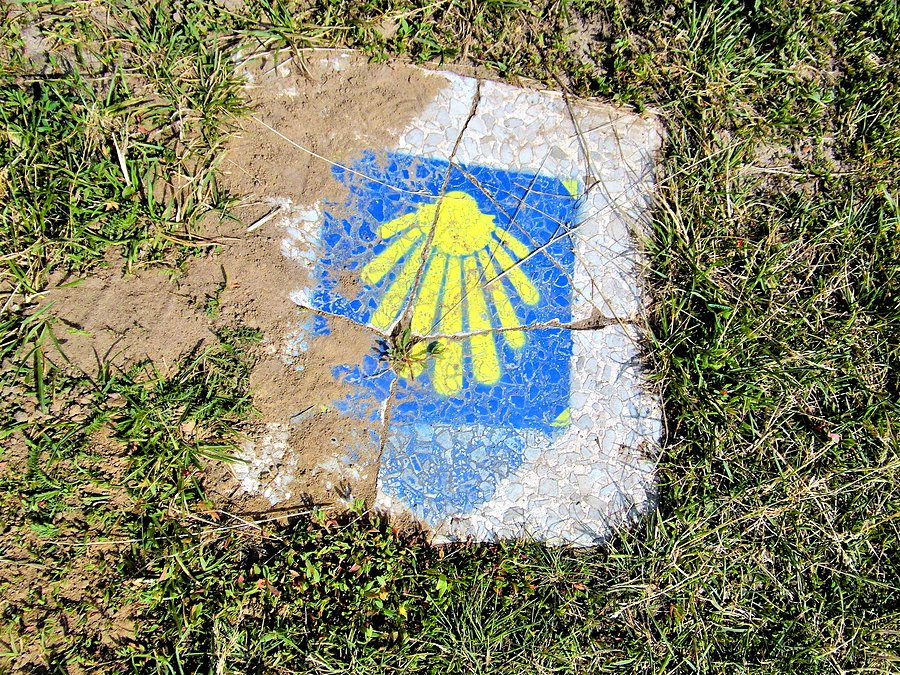Na trasie Camino