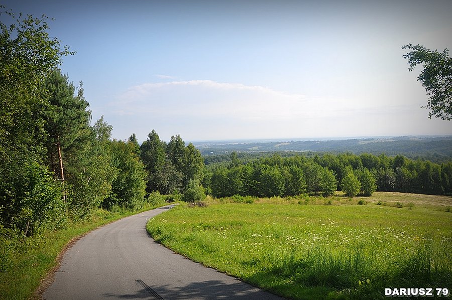 Porąbka Uszewska - Widok w stronę Dębna