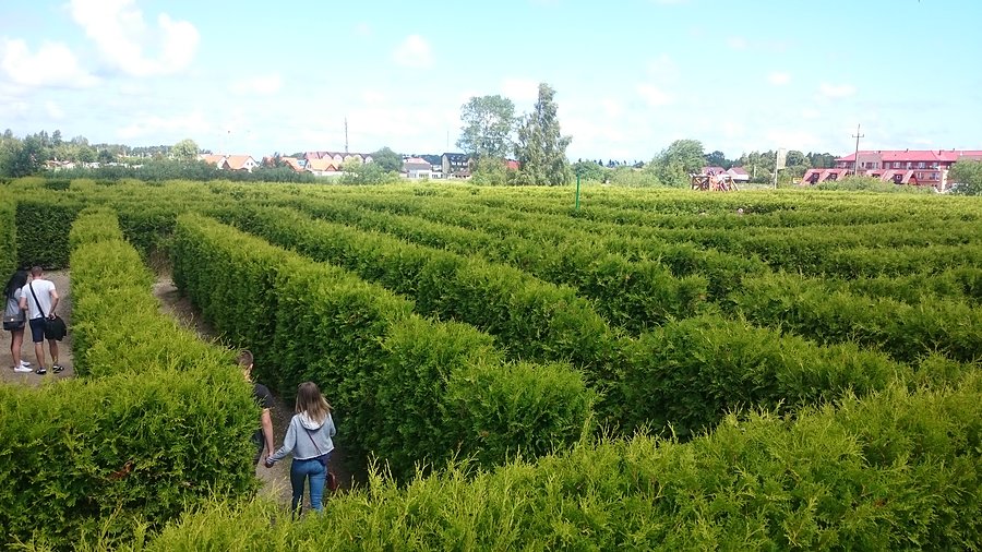 Labirynt z wieżyczki widokowej nr2
