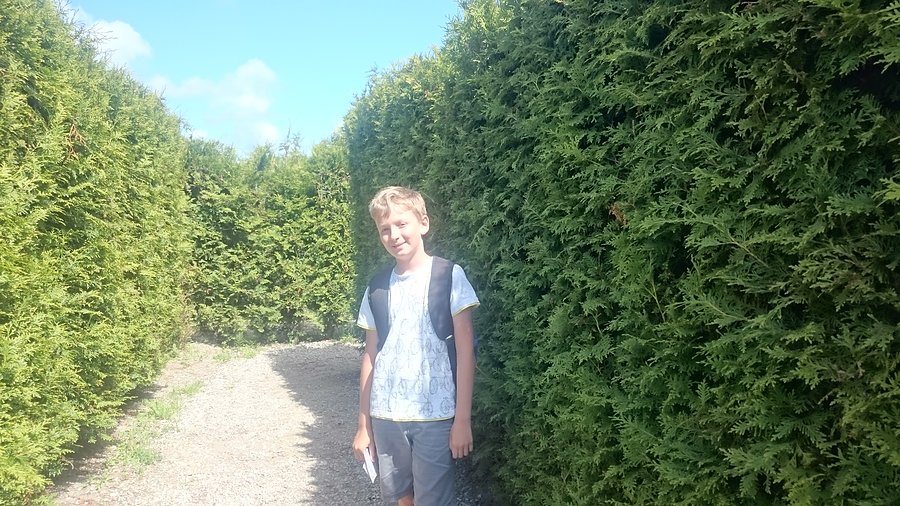 W labiryncie