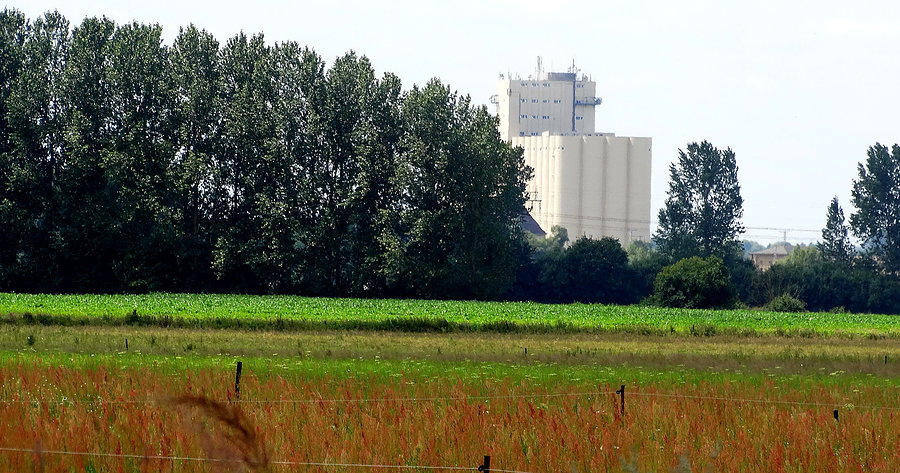 Charakterystyczny obiekt z Pasewalku
