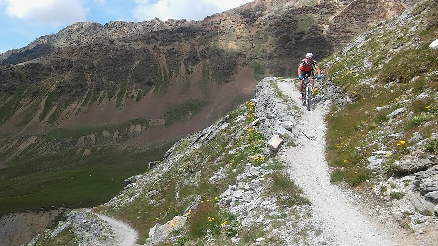 Alpejskie singielki (2)