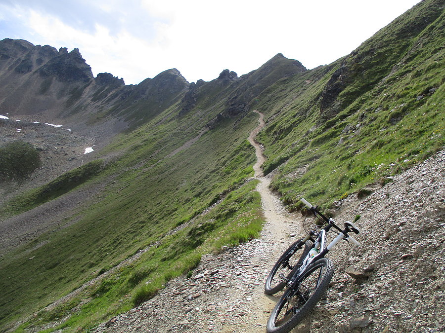 Alpejskie singielki (4)
