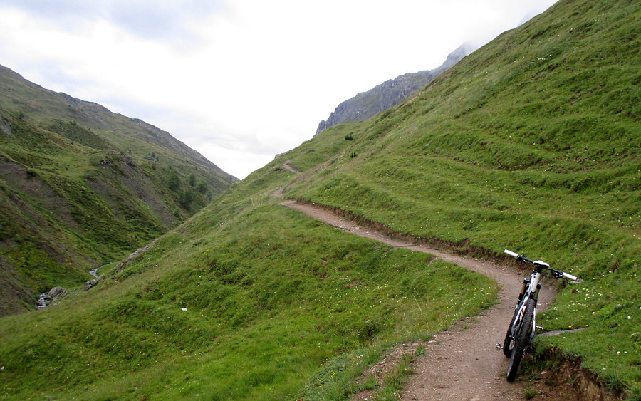 Alpejskie singielki (8)