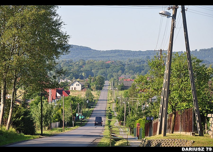 Dębno - Widok na Dębno Okolice