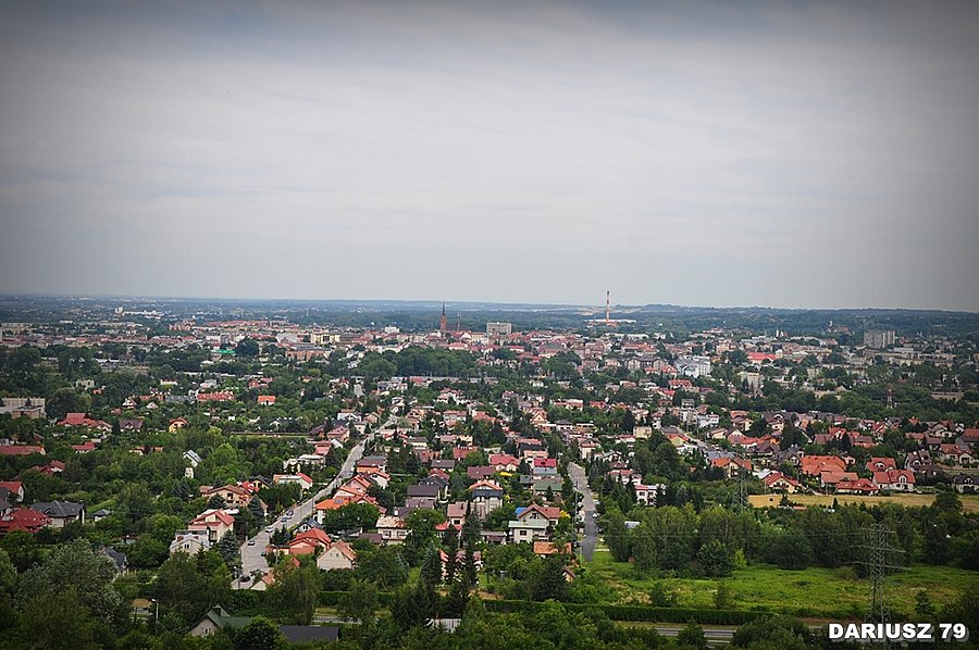 Tranów - Widok na Tarnów z Góra Świętego Marcina