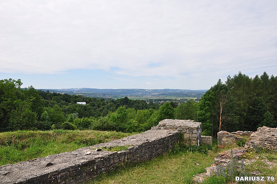 Ruiny zamku Tarnowiec