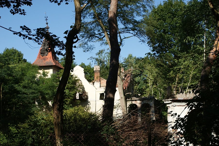 Kiedyś wyglądał pewnie pięknie, dziś to ruina. Konstancin Jeziorna