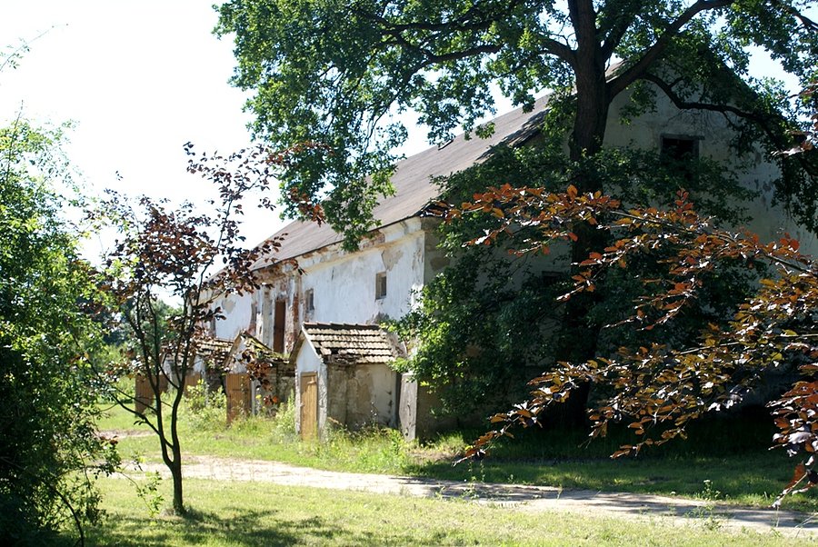 Pomieszczenia dworskie - Brześce