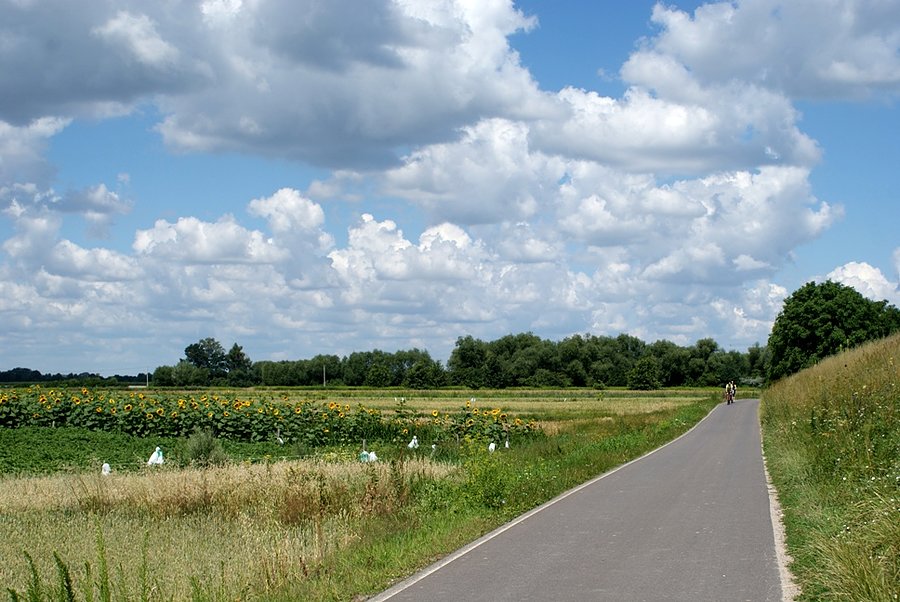 DDR wśród pól wzdłuż Wisły