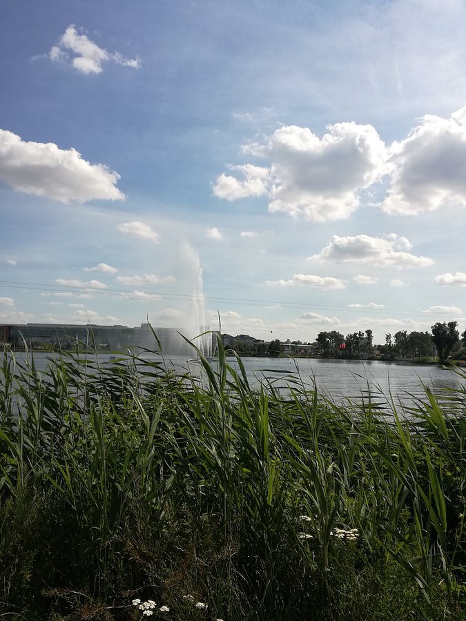 Piękny widok