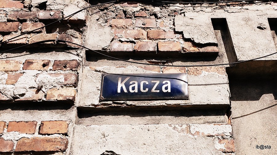 Pierwszy raz trafiłem na Kaczą