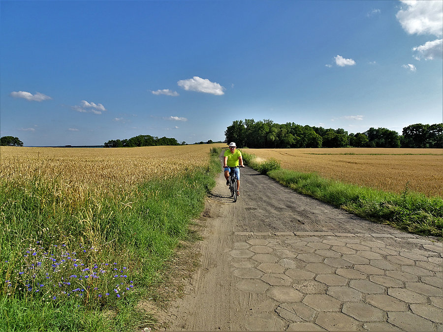 Wycieczka nad morze - Jantar. Wracamy do domu ( Tczew)