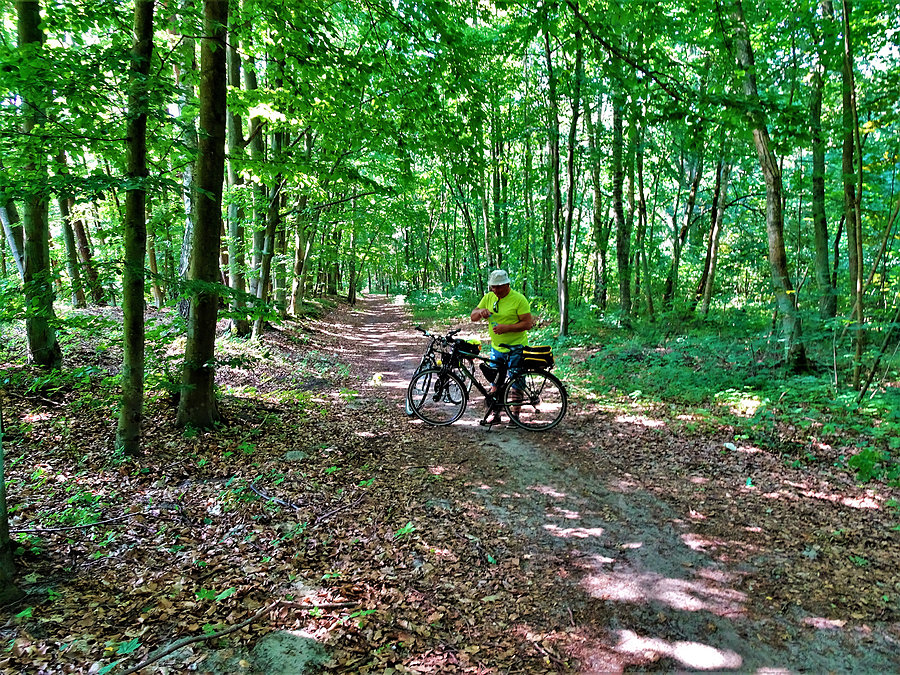 Wycieczka nad morze - Jantar. Wracamy do domu ( Tczew)