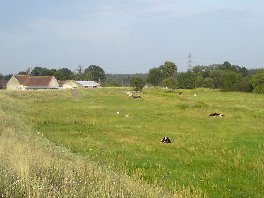 Sielanka w dolinie Stobrawy w Starych Kolniach