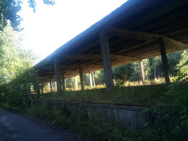 Widzimy
