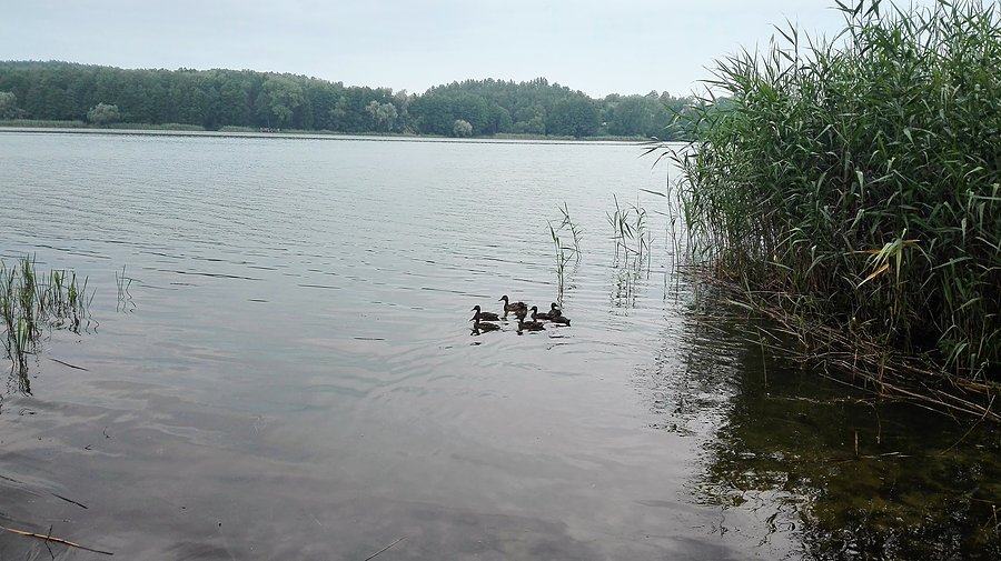 Jezioro Ostrowieckie