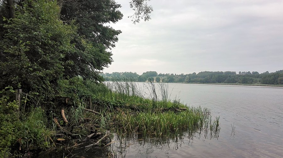 Jezioro Ostrowieckie2